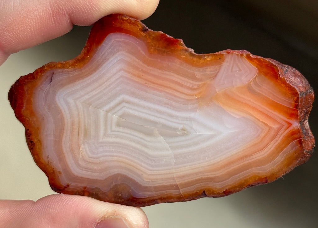A cross-section of a polished agate stone, showcasing concentric bands of color. The stone features layers of white, orange, and reddish-brown hues. The agate is held by a person's fingers.