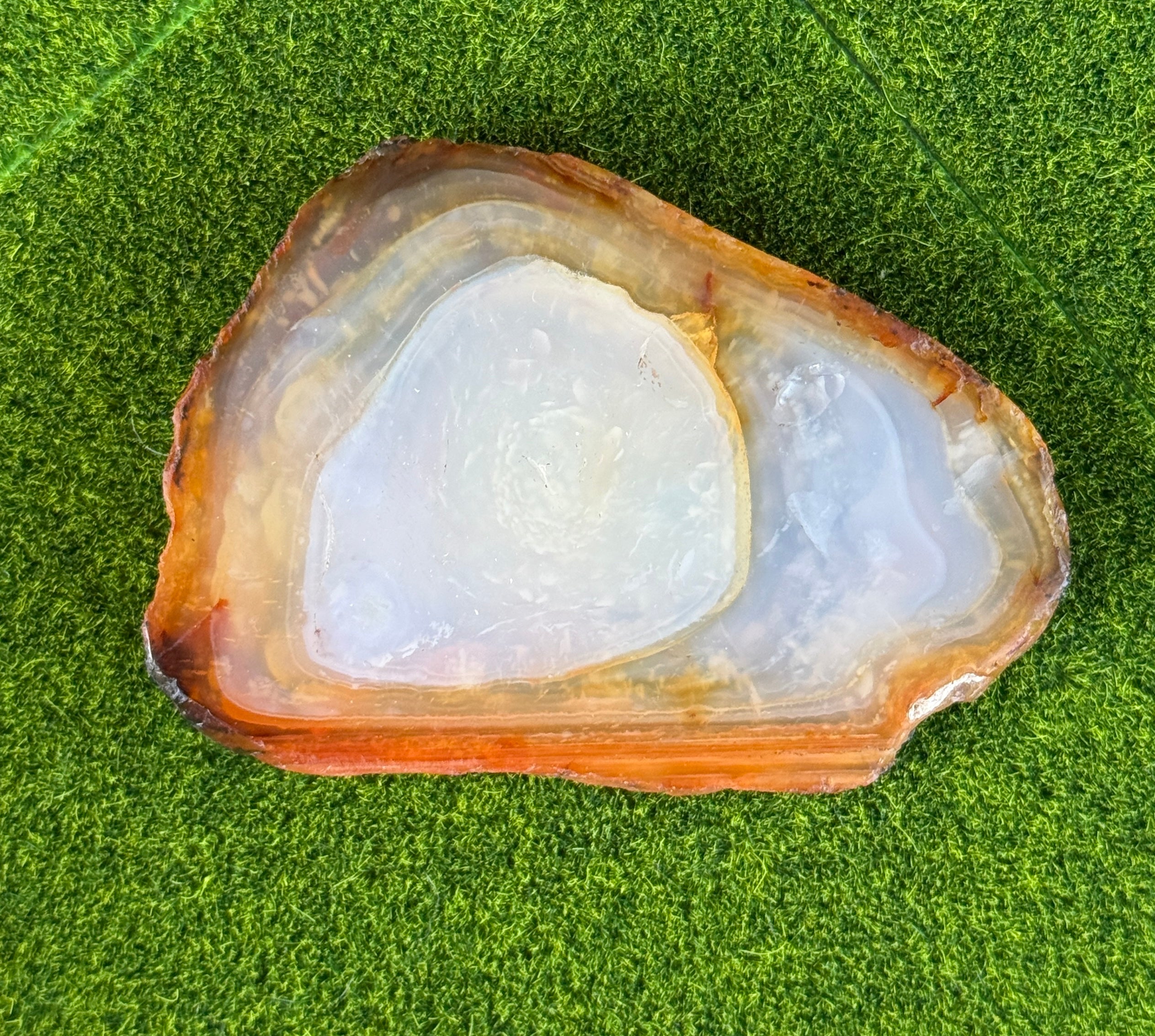 Geode slice with a clear interior on a green grass background