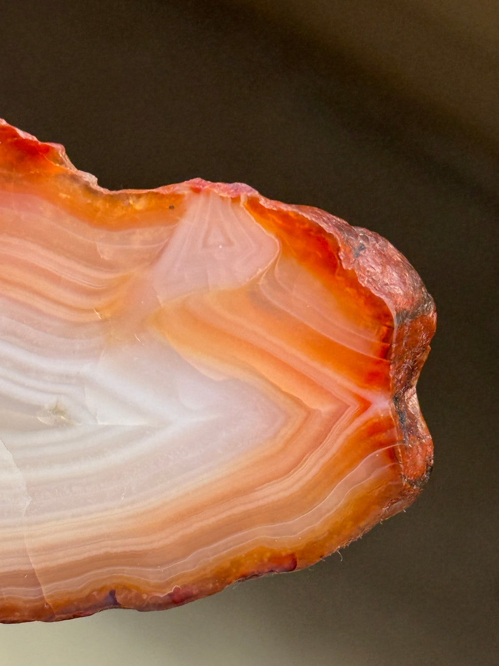 Close-up of a polished agate stone slice. The stone features layers of white, orange, and red hues. The natural stone has a smooth, polished surface and a rough, uneven edge. The agate slice is set against a dark brown background.
