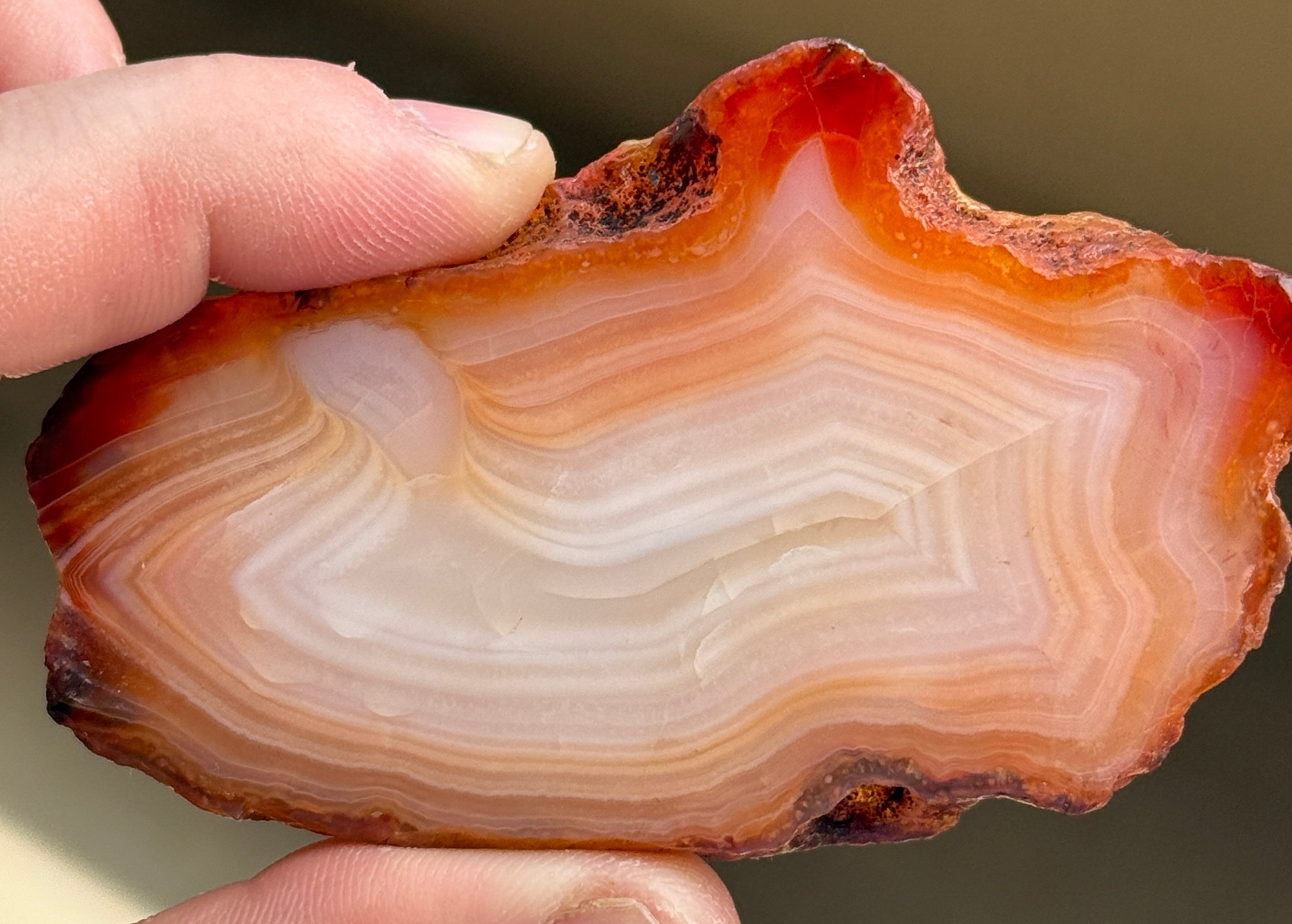 A polished agate stone with a layered pattern of reddish orange, white, and brown hues. The stone is held between two fingers, showcasing its natural, organic shape and intricate banding. The edges are a deep reddish-orange.