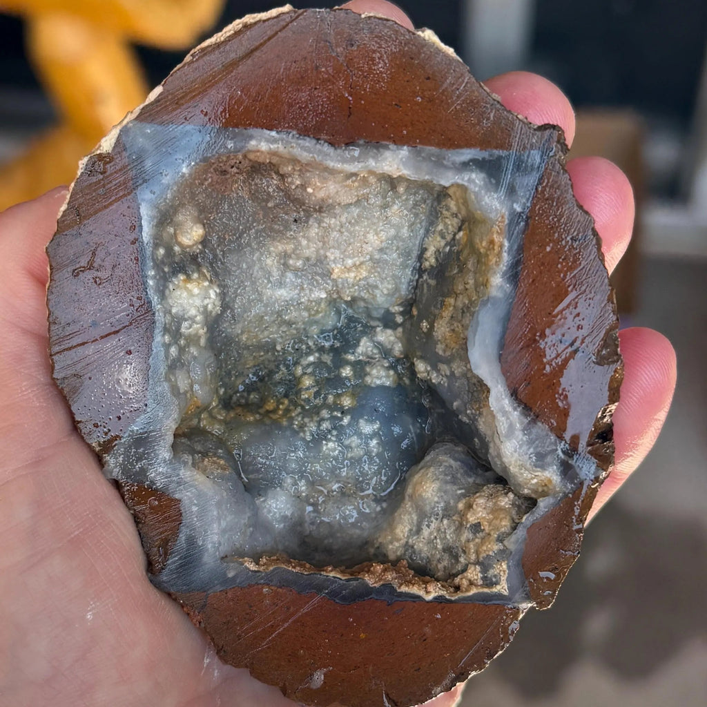 Jackrabbit Uncut Thundereggs, Thundereggs from Owyhee County