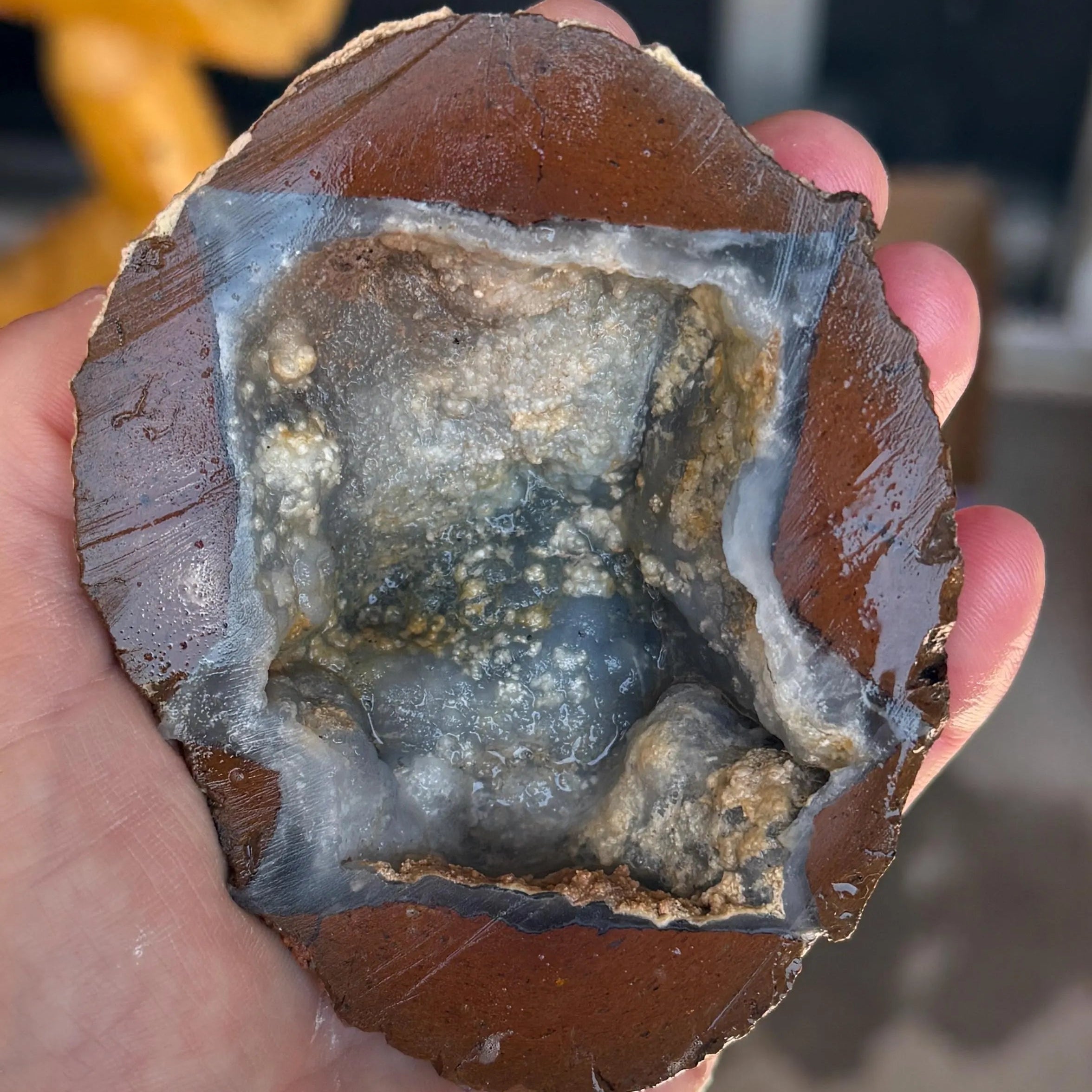 Jackrabbit Uncut Thundereggs, Thundereggs from Owyhee County