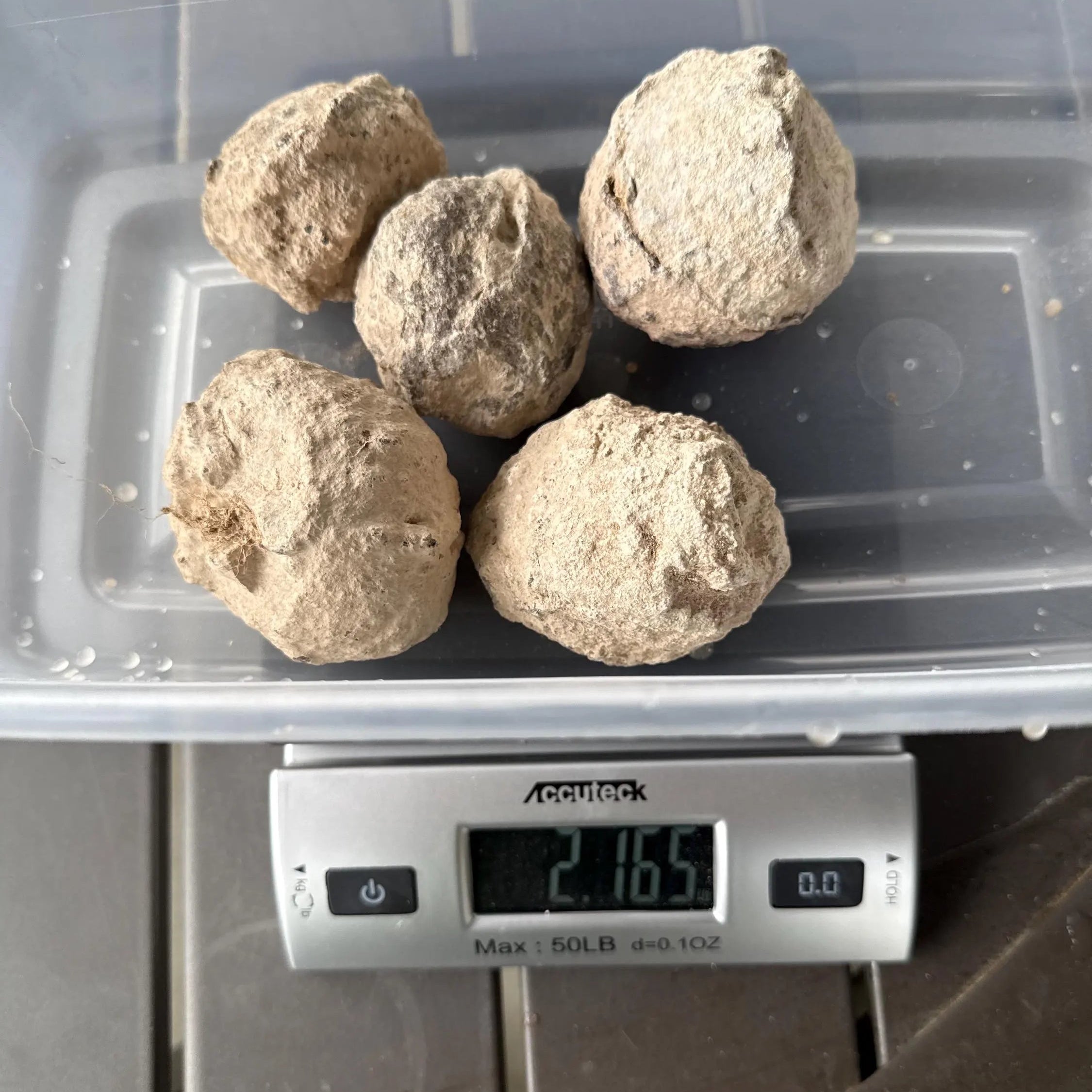 A collection of thunderegg specimens, each with a rough, brown exterior and a crystalline interior. The thundereggs are displayed in a clear plastic container, with a digital scale showing a weight of 2.165 pounds.