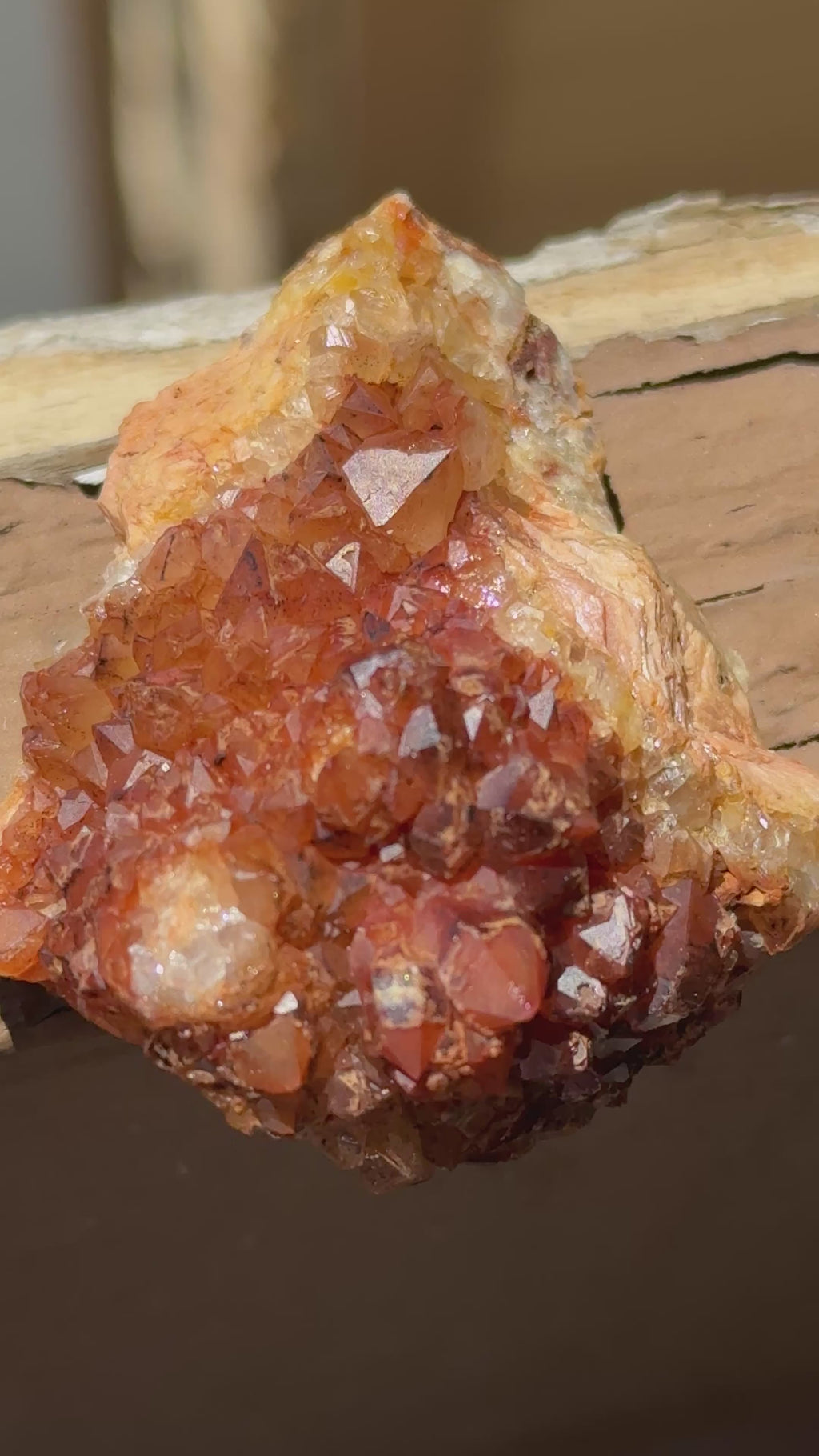 Ferruginous Quartz, Golden Healer Quartz